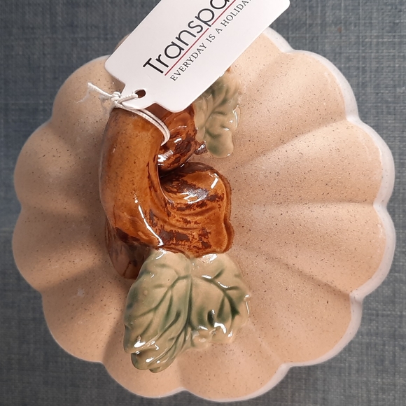 Ceramic Pumpkin Figure Tabletop Decor Fall Harvest Half Glazed White Na… - Picture 2 of 6